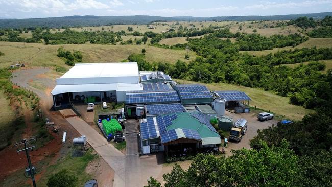 Mungalli Creek Bio-Dynamic Dairy with the new processing plant (white building) that will soon be up and running. PICTURE: STEWART MCLEAN