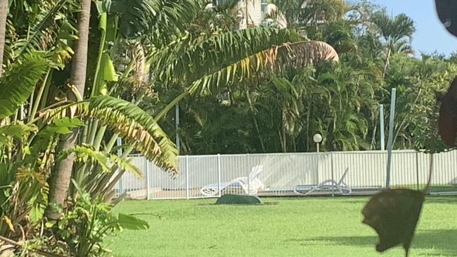 The pool area at Condor Ocean View Apartments. Picture: Melanie Whiting