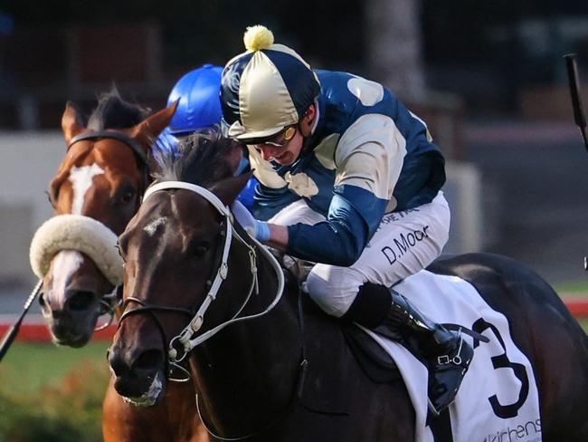 Forgot You (NZ) ridden by Daniel Moor wins the Aspect Kitchens Stutt Stakes at Moonee Valley Racecourse on September 24, 2021 in Moonee Ponds, Australia. (George Salpigtidis/Racing Photos via Getty Images)