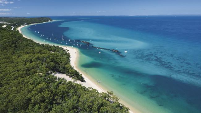 The latest attack happened at the Tangalooma Wrecks off Moreton Island.