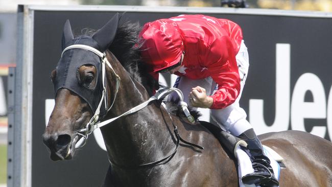 I Am Zelady will be hard to beat in the last at Randwick. Picture: Grant Peters