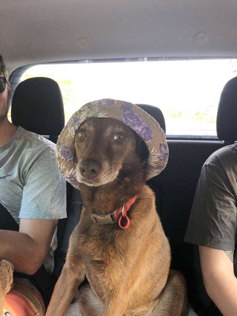 Got my hat on, off to the beach. Picture: Amanda