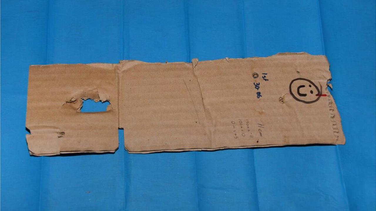A make-shift cardboard target found at the Train property.