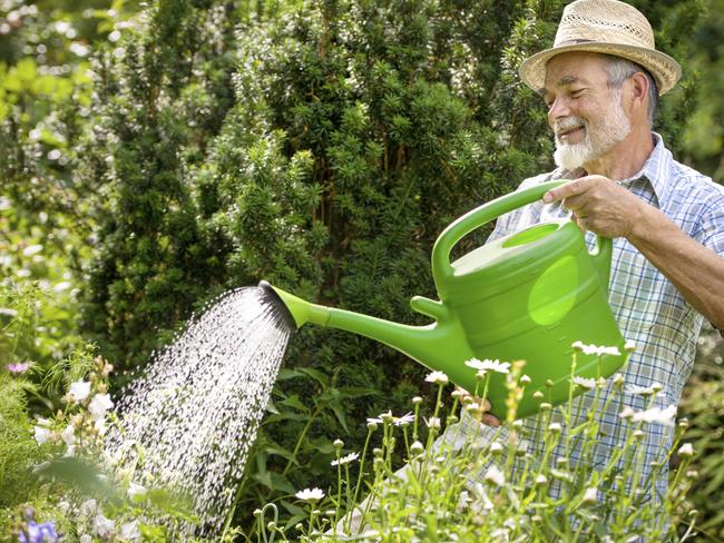 A weed free garden is the other dream.