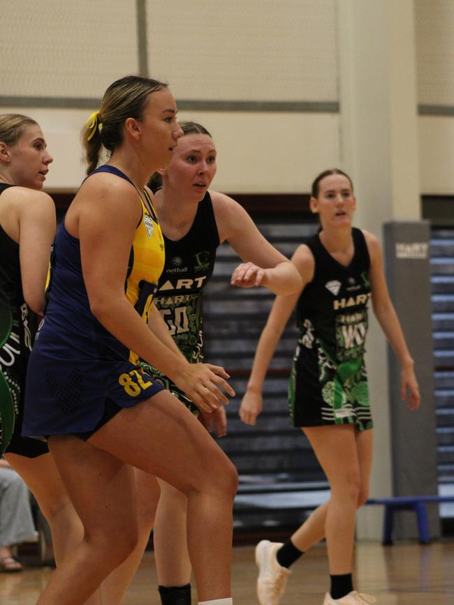 HART Sapphire Series round 1 2024 (Ruby) Darling Downs Panthers v Bond University Bull Sharks Netball