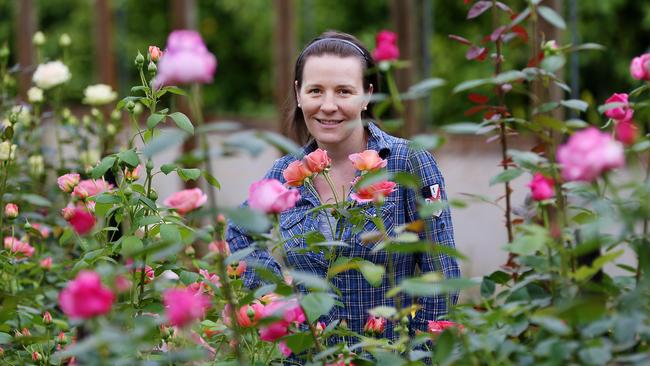 Floral touch: Jocelyn Cross runs Petite Ingredient, edible flowers, leaves, dried flowers, teas, crystallised sugars, selling around Australia and exporting to several countries Picture: Andy Rogers