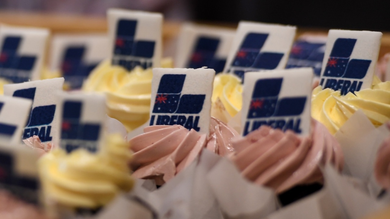 Liberal Party has a ‘branding issue’