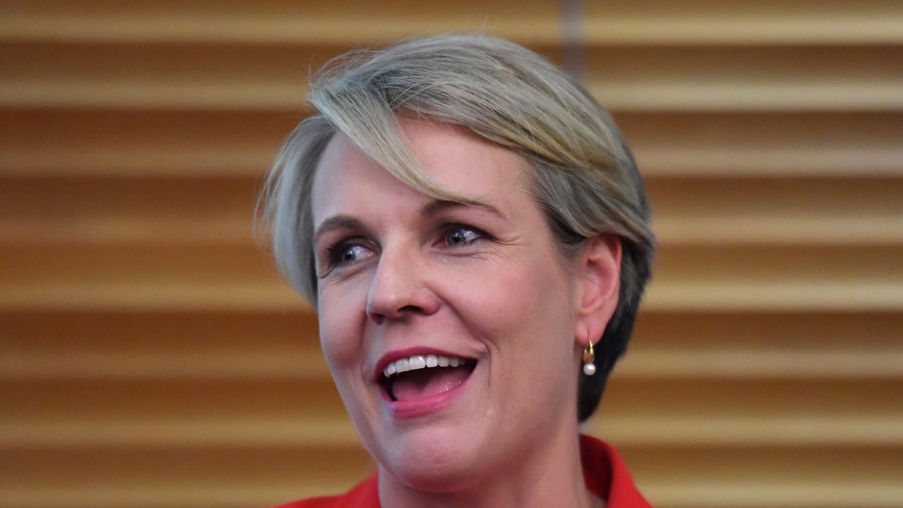 Tanya Plibersek is extremely popular with the public. She is seen as a moderating force to Bill Shorten’s more hard-edge persona.