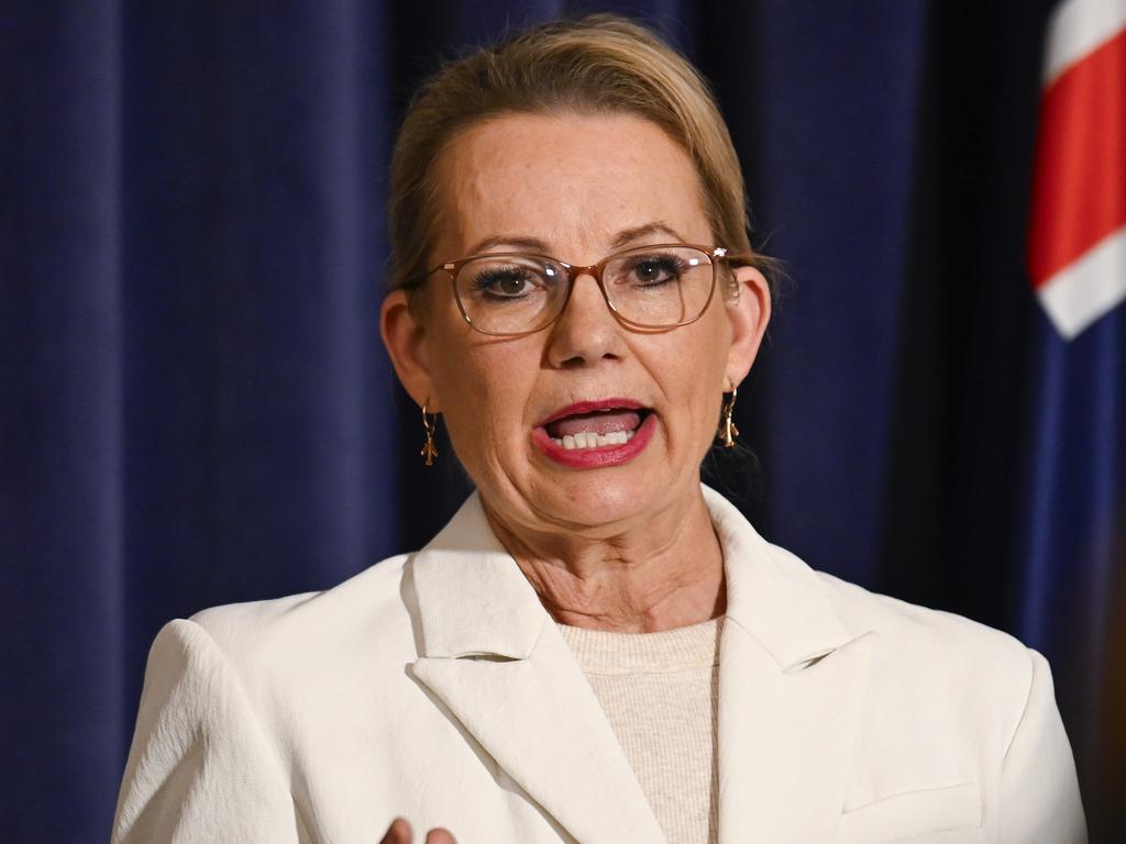 Leader of the Opposition Sussan Ley. Picture: NewsWire/Martin Ollman