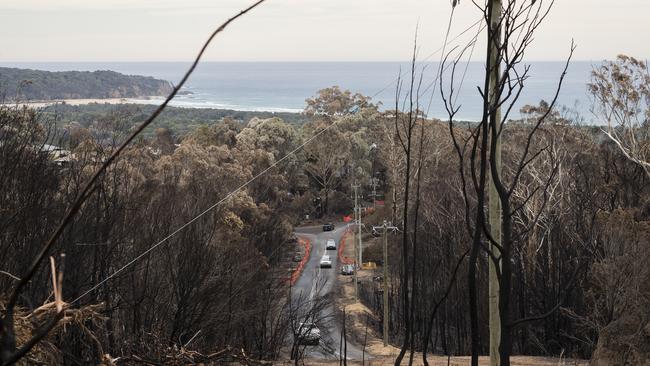 Scorched bushland on Thompsons Drive in Tathra in March 2018. Picture: Brook Mitchell/Getty