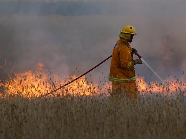 Firefighters in long grass on scene at a grass fire, in Victoria.