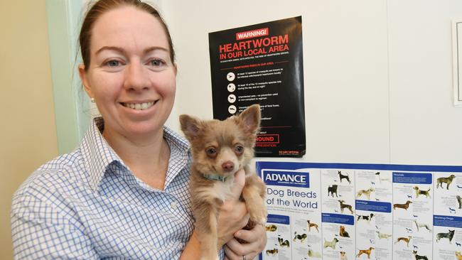 Gracemere Veterinary Surgery owner Dr Bridget Newman with Hunter.