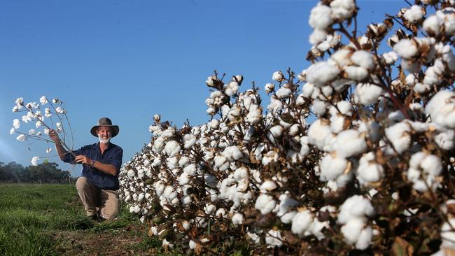 Picking a winner: Cotton producer Michael Tuesner on his mixed farm near Darlington Point, NSW. Picture: Yuri Kouzmin