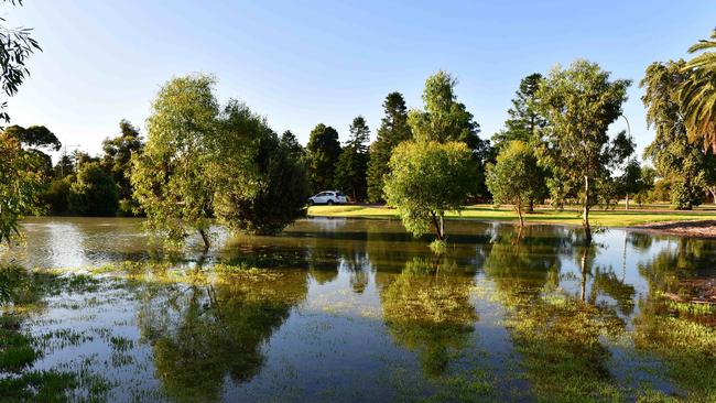 A burst water main has caused a lake to form in the North Adelaide parklands, on the corner of Main North Rd and Robe Terrace. Picture: Mark Brake