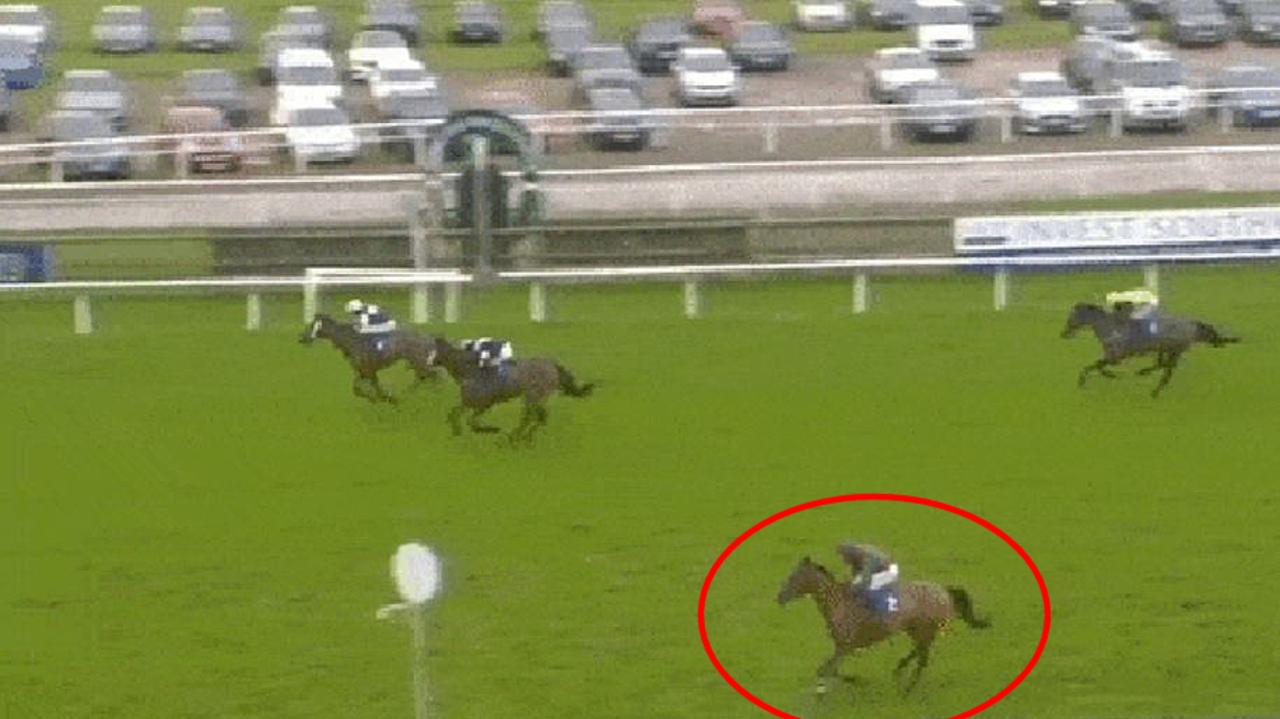 Pacuan kuda, kuda runabout Oski meniup kemenangan tertentu, video, reaksi