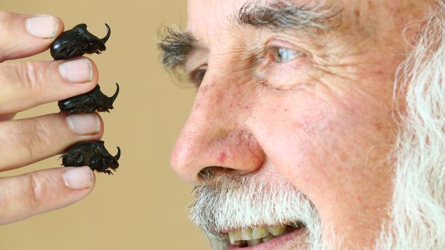 Eyes have it: Bernard Doube gets up close to his heroes, the humble dung beetle, which he says can transform farmland and protect livestock.