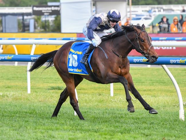 Duke De Sessa ridden by Harry Coffey wins the Sportsbet Caulfield Cup. Picture: Getty Images