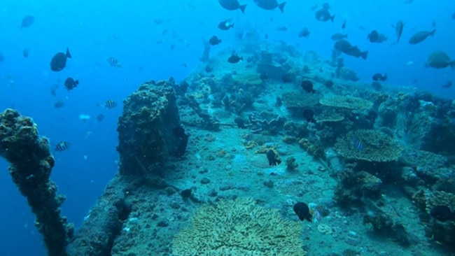 Ex-HMAS Brisbane is home to a great deal of marine life and coral. Picture: contributed.