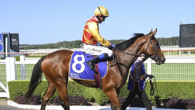 Promising filly Memo can break through for her first win at Randwick. Picture: Bradley Photos