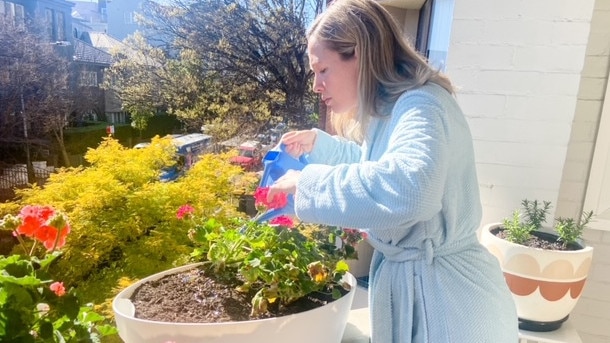 Gertz is growing some flowers and herbs.