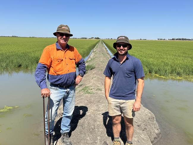 Glen Andreazza and son Daniel of Willbriggie in the Murrumbidgee Irrigation Area with their rice crop in the background. Picture: Supplied