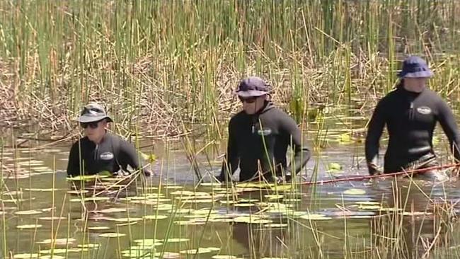 Police enter a creek in the search for William Tyrrell.