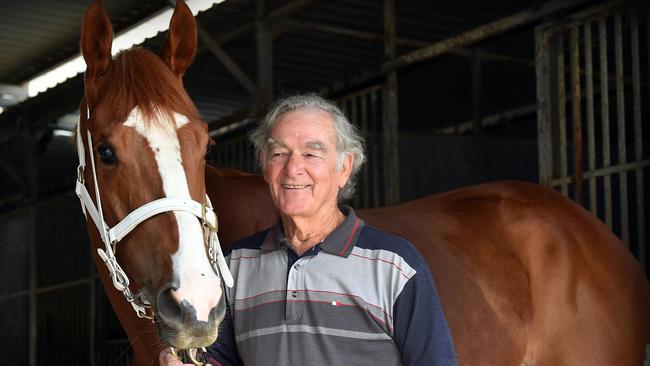 Well known Sunshine Coast racing trainer Trevor Miller alongside his stables leading horse Zingalong. Picture: Patrick Woods.