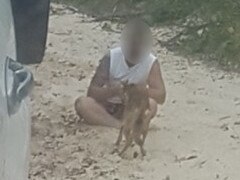 The Brisbane man was photographed on March 17, 2022, allegedly feeding the dingo, known as wongari by the Butchulla people, at the Hook Point southern barge area, acting compliance manager Adam Northam said.