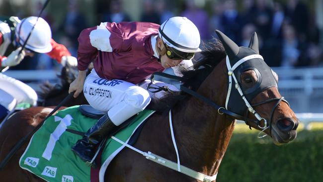 Irish Songs is looking for a second win in the Wagga Town Plate after winning in 2020. Picture: AAP Image