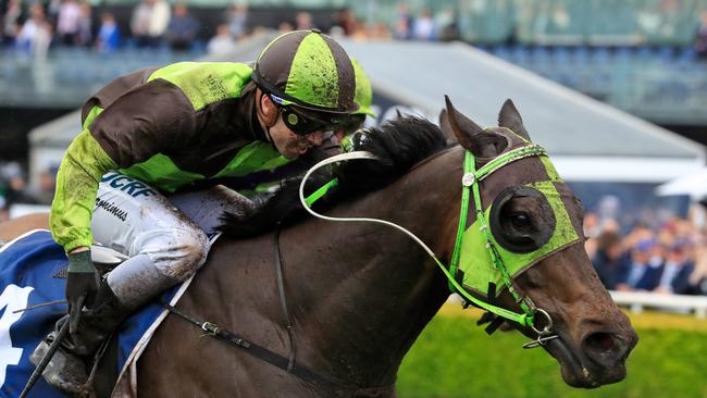 SYDNEY, AUSTRALIA - OCTOBER 13: Adam Hyeronimus on Belflyer wins race 5 The Kosciuszko during Sydney Racing at Royal Randwick Racecourse on October 13, 2018 in Sydney, Australia. (Photo by Mark Evans/Getty Images)