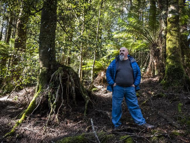 Tarkine campaigner Scott Jordan in temperate rainforest near the Riley Creek mine site.