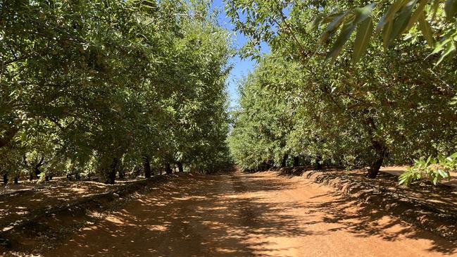 Warakirri Diversified Agriculture Fund have paid $32m for a 350ha almond orchard near Mildura.