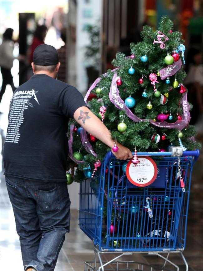 A shopper snap picks up a tree for the festive system.