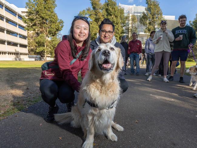 RSPCA SA's Million Paws Walk in Adelaide on May 25, 2025. Picture: Ben Clark