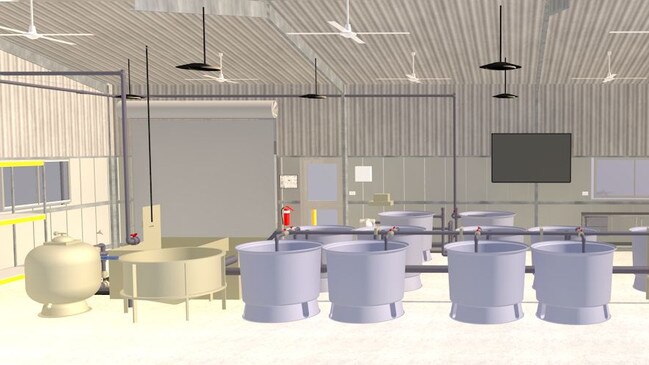 Concept render for interval view of new Aquaculture Workshop including aquaponic tanks and wet lab. Photo: Contributed