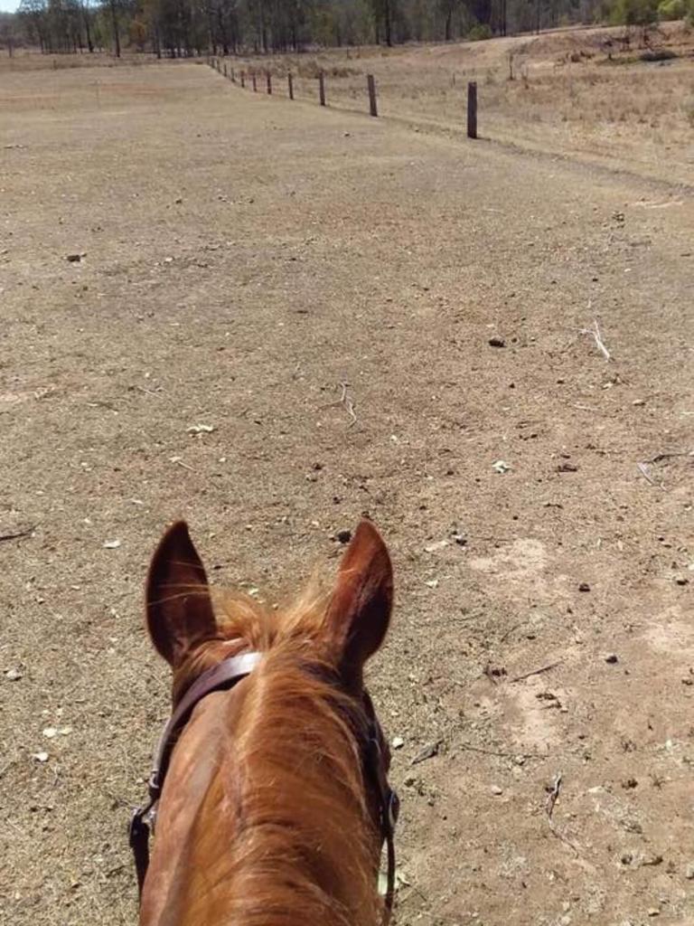 So sad to see our place so dry. (Photo: Michelle Binstead)