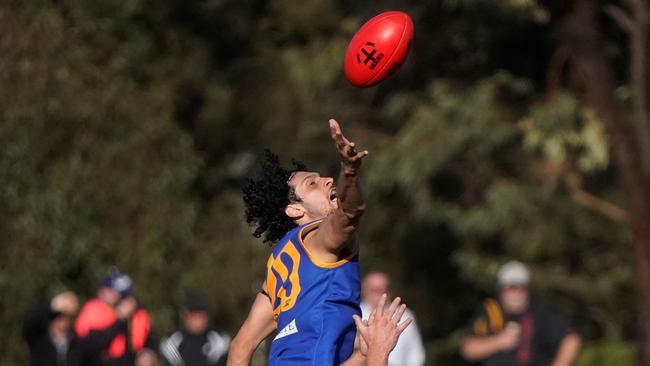 SFNL Division 1 grand final: Cranbourne v Cheltenham at RSEA Park. Cranbourne player Michael Boland and Cheltenham player Daniel Rendell . Picture: Valeriu Campan