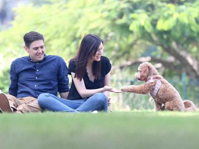 Dylan and Sian Stringer with mini labradoodle, Holly of Teneriffe outside the Powerhouse, New Farm. Photo AAP/ Ric Frearson