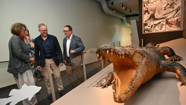 Anthony Albanese and Solomon MP Luke Gosling visit the Museum and Art Gallery Northern Territory in Darwin. Picture: Lukas Coch / Pool / NCA NewsWire