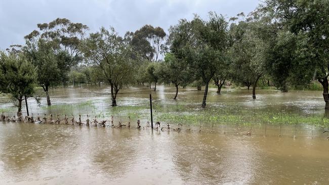 Seymour resident Murray Stark will not evacuate, despite floodwaters reaching his Seymour property. Picture: Olivia Condous