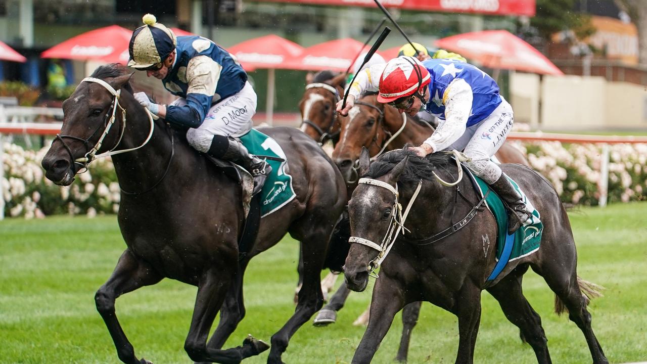 Punters Forgot You (NZ) . (Scott Barbour/Racing Photos via Getty Images)