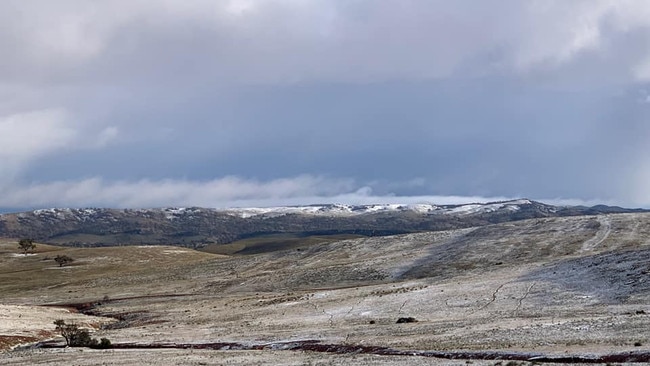 Snow at Collinsville Station east of Hallett. Picture: Collinsville Stud Merinos