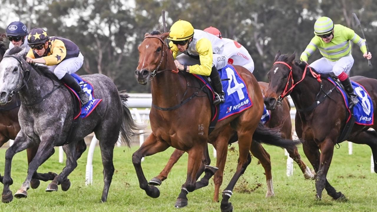 Ray and Duff’s tips, analysis for Randwick: $10 value bet