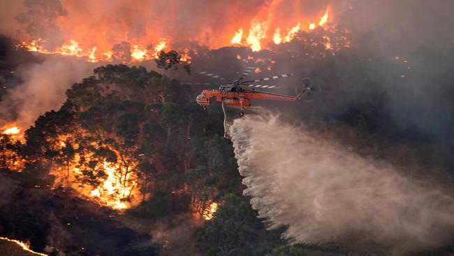 Much of East Gippsland was razed in the Black Summer bushfires.