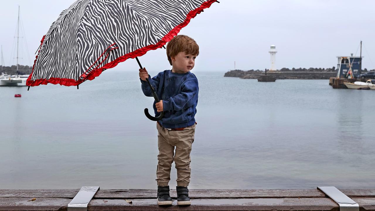 How a wet summer led us to disaster