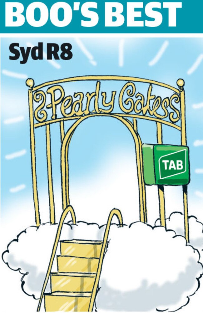 Boo Bailey’s cartoon tip for Rosehill.