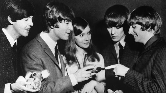 Susette Belle, 16 (centre), president of the The Beatles Club of Australia, presents the band with gifts during their famous visit to Melbourne in 1964. Picture: Bettmann Archive / Getty Images