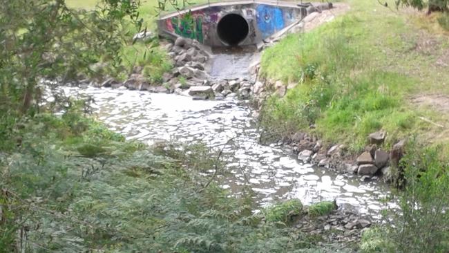 Dandenong Creek near Heathmont and Bayswater North has been previously plagued by pollution issues. Picture: Supplied.