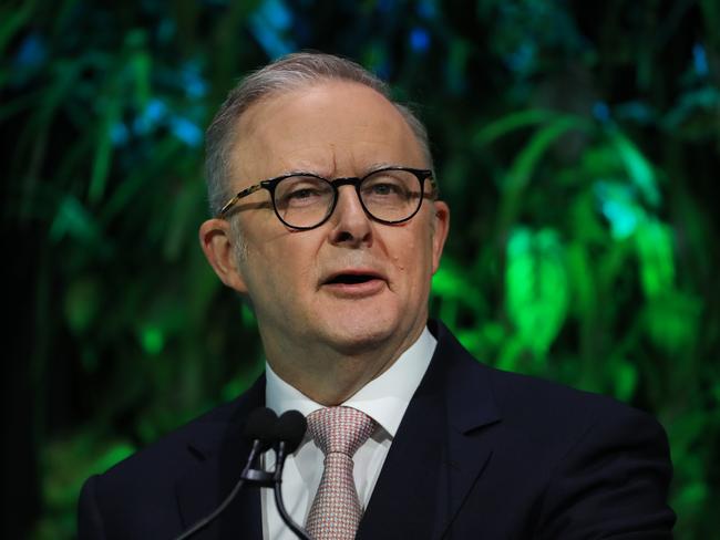 Prime Minister Anthony Albanese’s response was also branded as weak. Picture: NewsWire/ Scott Powick,