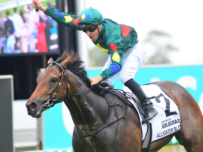 Alligator Blood wins the Magic Millions Guineas. Picture: Trackside Photography